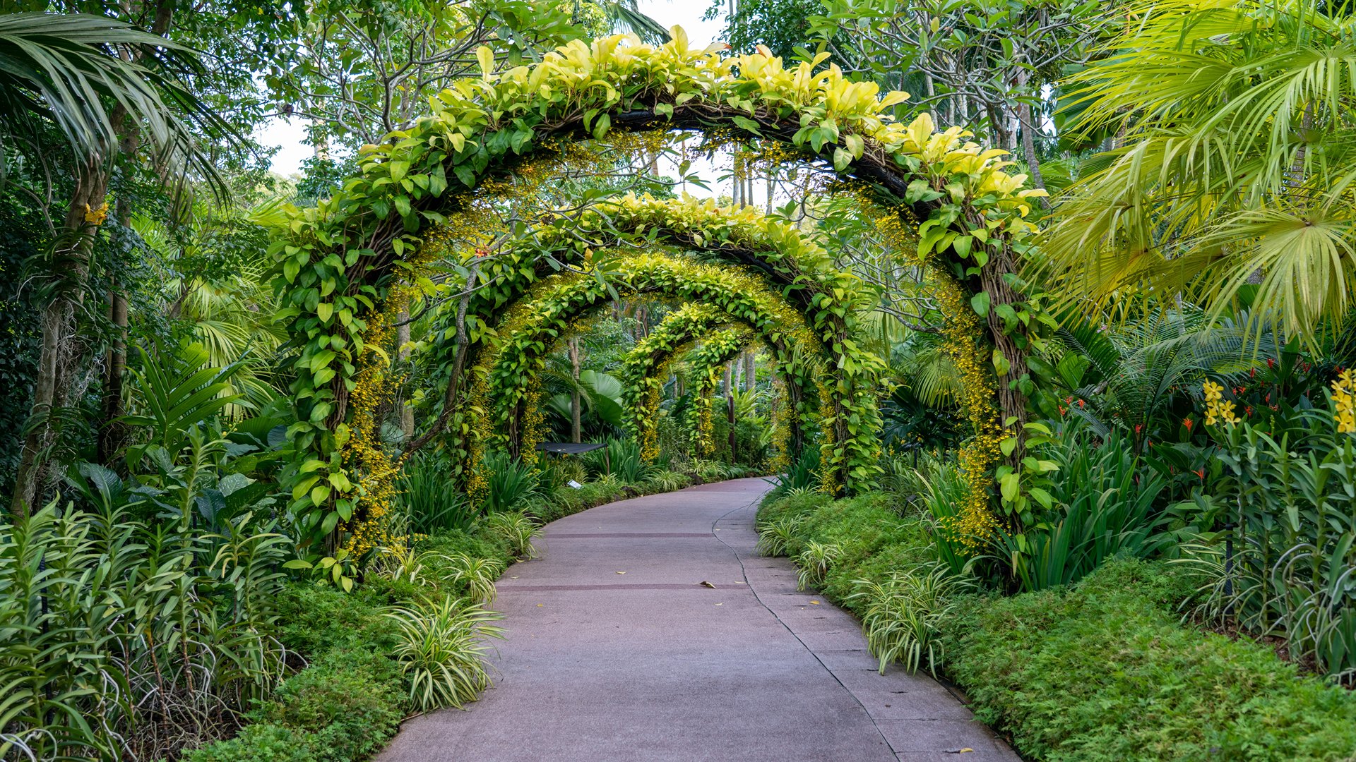 What is a GRE Tunnel? IPWAY Blog