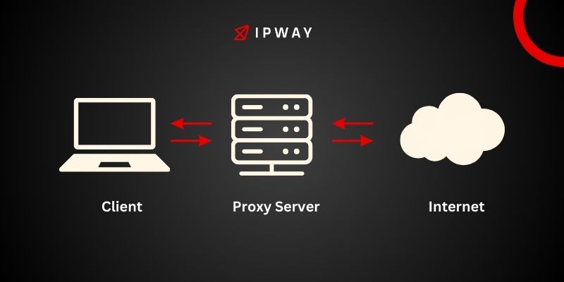 curl proxy